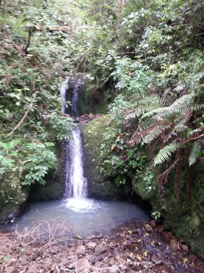 Kotare Ridge Bed & Breakfast Waihi Exterior photo